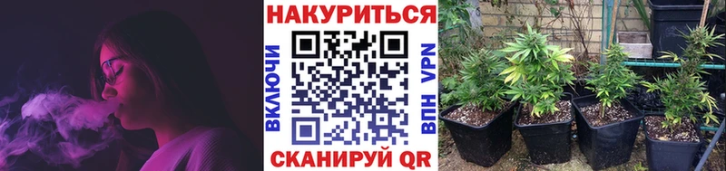 Где продают наркотики Острогожск АМФ Меф мяу мяу A PVP