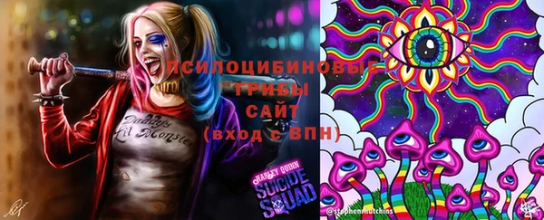 амф Белоозёрский