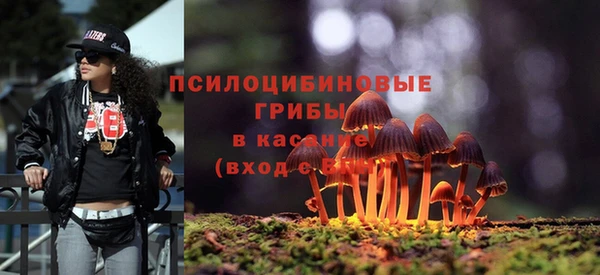 первитин Белокуриха