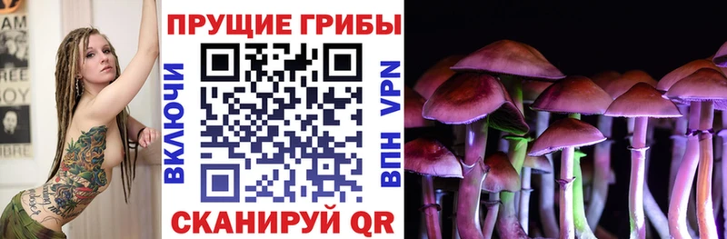 Псилоцибиновые грибы мухоморы это наркотические препараты Острогожск наркотики KRAKEN вход